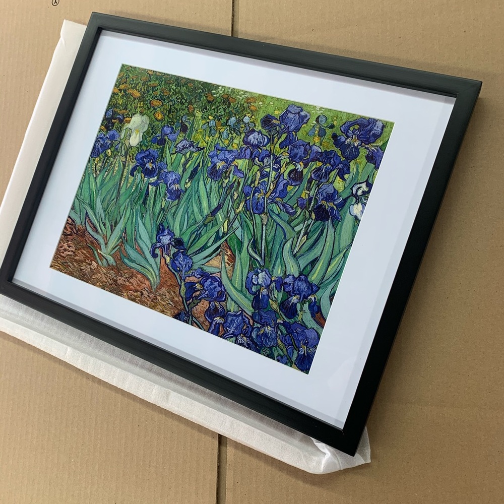Irises framed flowers wall artwork framed 14x18